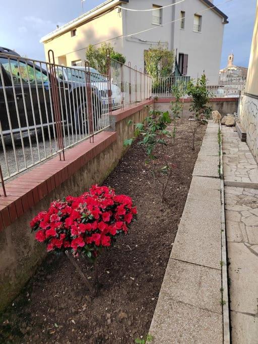B&B La Finestra Sul Mare Ripatransone Kültér fotó